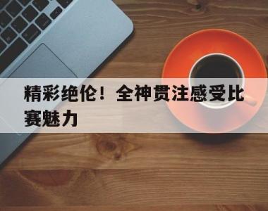 精彩绝伦！全神贯注感受比赛魅力的简单介绍
