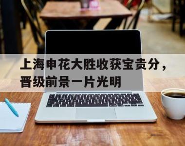 上海申花大胜收获宝贵分，晋级前景一片光明的简单介绍