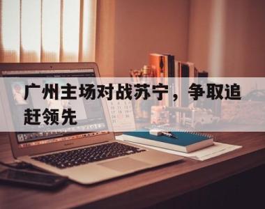 广州主场对战苏宁，争取追赶领先的简单介绍